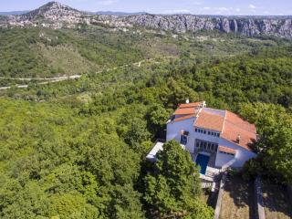 Villa Green Castle - Five bedroom villa with swimming pool - Zadvarje - 6