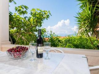 Apartments Veve - Superior Studio Apartment with Terrace Sea View Vesna ST - Postira - 1