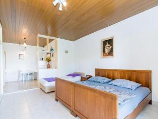 Apartments Veve - Superior Studio Apartment with Terrace Sea View Vesna ST - Postira - 5