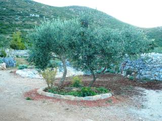 Lavender Cottage-Two Bedroom Holiday Cottage with Terrace - Trpanj - 5