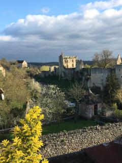 Chez Fred avec vue sur le Château - Angles-sur-lʼAnglin - 8