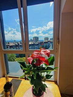 Dalija Apartment - Novi Sad - 2