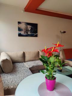 Maja Apartment - Novi Sad - 7