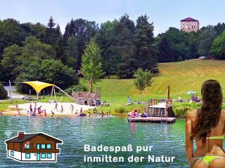 BayerischerWald-Ferien-Blockhaus-Panoramablick-Grafenau Haus im Wald-Vogelthenne 19, fast Alleinlage-ILZtal-Blick nähe Rothauer, Saldenburger, Ebenreuther und Eginger See im Dreiburgenland, unweit der Stadt PASSAU an der Donau Inn und ILZ - 2