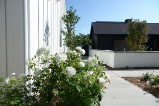 Whitetail Court Hotel - Fredericksburg - 4