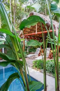 Casa Nainoa - Home with Pool & Rooftop Palapa - Sayulita - 2