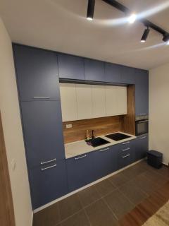 Master apartment Podgorica - 3