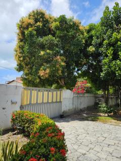 Jambu Hostel PB - Jacumã - 1