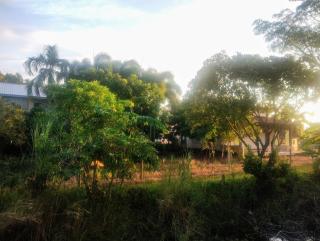 Baan Chomchan - Thale Noi บ้านพักชมจันทร์ - 4