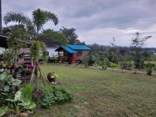 Lucky Bungalow - Khao Lak - 3