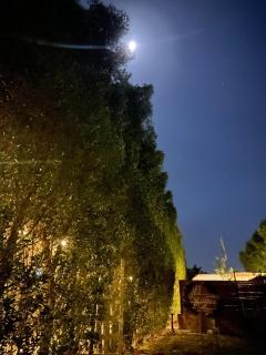 iBiZa Hostel - Beni Suef - 7