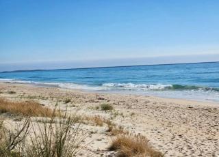 Ocean Breeze - Sleeps 12 - Pet Friendly - Scamander - 8