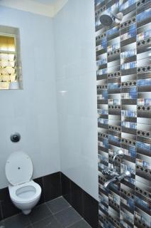 Fieldstone Orion 2 Bhk AC Flat - Talaulim - 7