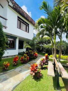 Cattleya tropical - El Laurel - 3
