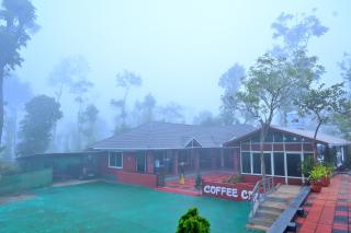 Coffee Crown Homestay - 1KM Falls, Home Food & Coffee Estate - Sakleshpur - 0