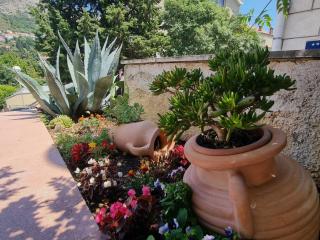 Apartments Mavi - Studio Apartment with Terrace and City View - Dubrovnik - 4