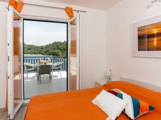 Apartments Posta - Comfort One-Bedroom Apartment with Terrace and Sea View - Apartman 6 - Saplunara - 6