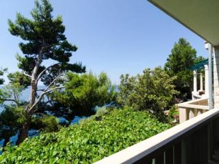 Apartments Plavac Mali- Three Bedroom Apartment with Terrace and Sea View - 5