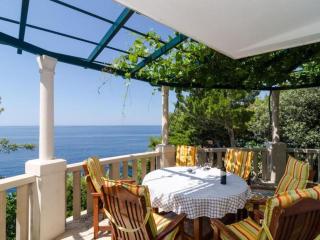 Apartments Plavac Mali- Three Bedroom Apartment with Terrace and Sea View - Potomje - 0
