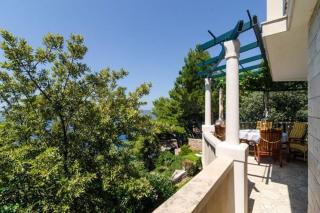 Apartments Plavac Mali- Three Bedroom Apartment with Terrace and Sea View - Potomje - 2