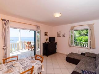 Apartments Plavac Mali- Three Bedroom Apartment with Terrace and Sea View - Potomje - 9