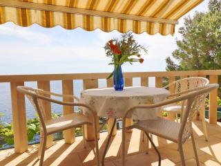 Apartments Plavac Mali- One Bedroom Apartment with Balcony and Sea View - Potomje - 0