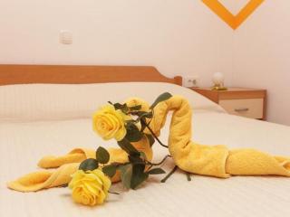 Apartments Pojko - One-Bedroom Apartment with Terrace Yellow - Dubrovnik - 4