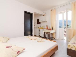 Apartments Dalmatin uljana - Superior Studio Apartment 2 - Žuljana - 6