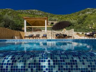 Villa Dundo Pero - Four Bedroom Villa with Swimming Pool and Sea View - Babino Polje - 1
