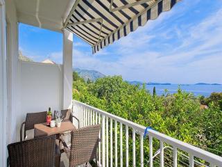 Apartments Grljevi - Studio Apartment with Sea View and Balcony A2 - 4