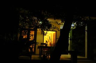 Villa Bird Gate - Galle - 5