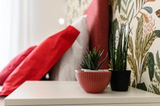 Del Frate Guest House Vatican - Rome - 3