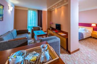 Dráva Hotel Thermal Resort - Harkány - 1