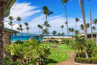 Napili Shores F-252 - Kahana - 0