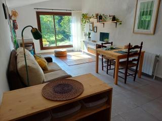 Estudi ideal en una masia - Amer - 6