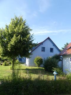 Ferienwohnung A45 - Dranske - 8