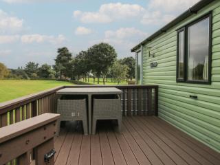 Swan - Leominster - 8