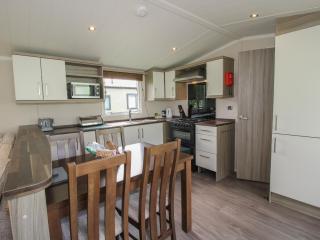 Swan - Leominster - 5