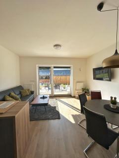 Apartmán A3 Kašperky Slunný moderní apartmán na horách - Kašperské Hory - 7