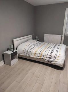 Appartement chaleureux à Nevy-sur-Seille 70 m² avec Wifi - 7