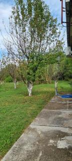 Milan Apartman - Podgorica - 7