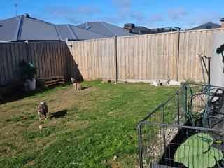 SFE Twin Room in Shared Home - 8