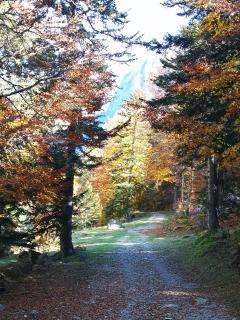 ESTRELIAS - maison de vacances - Cauterets centre - 5