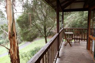 Tall Trees Eco Retreat - Apollo Bay - 8
