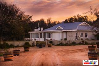 Gasteria Grange - Calitzdorp - 9
