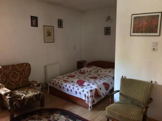 Casa Matei - Poarta - 4