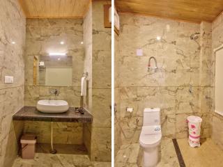 Swastik Grand Manali - 3