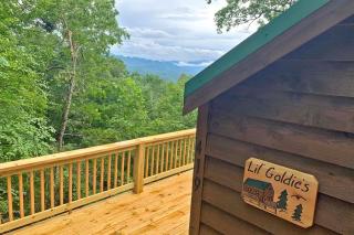 Little Goldies - 6