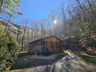 Dragonfly Cabin - Bryson City - 7