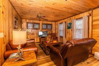 Dragonfly Cabin - Bryson City - 0